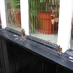 Casement and Timber Window Repair